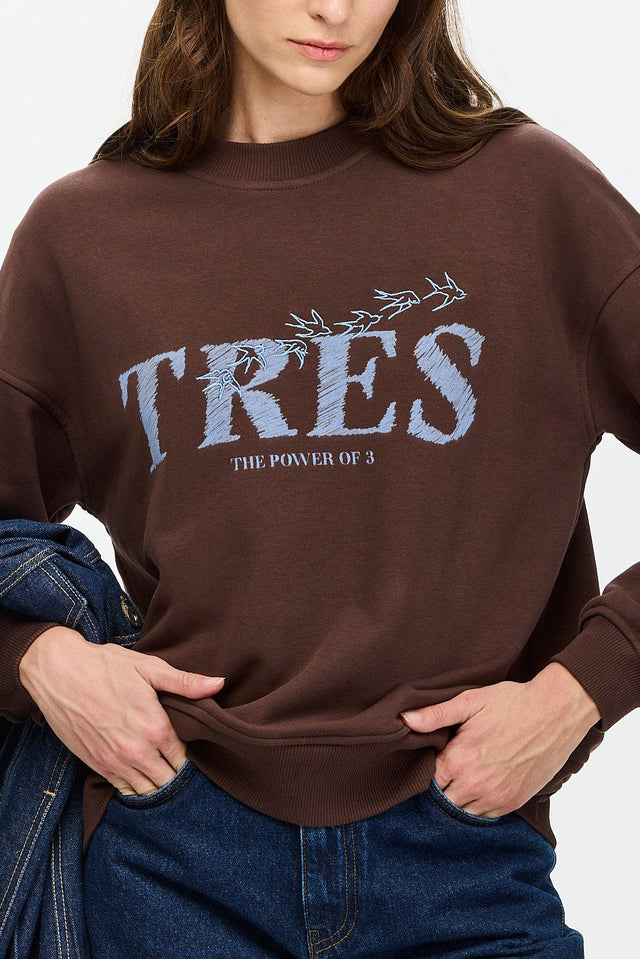 Birds Sweatshirt Brown