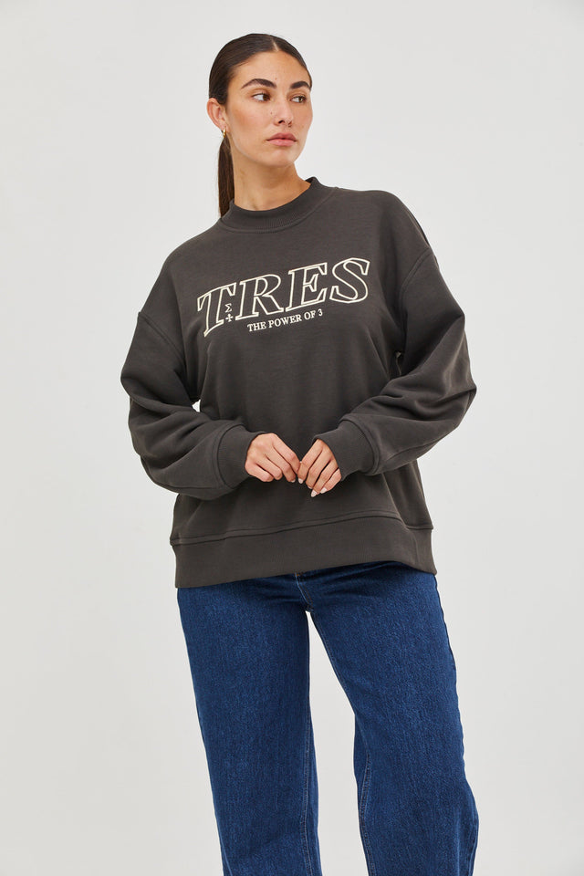 Embroidered Oversized Sweatshirt Warm Grey